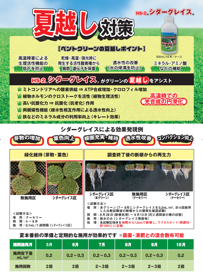 レイジェスのけし畑 楽天市場】【期間限定10倍ポイント レイジェスのけし畑 楽天市場】【期間限定10倍ポイント